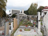 IMG_9008