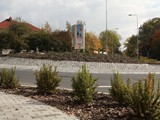 IMG_8965