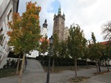 IMG_8971